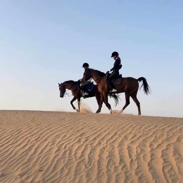Horse Riding