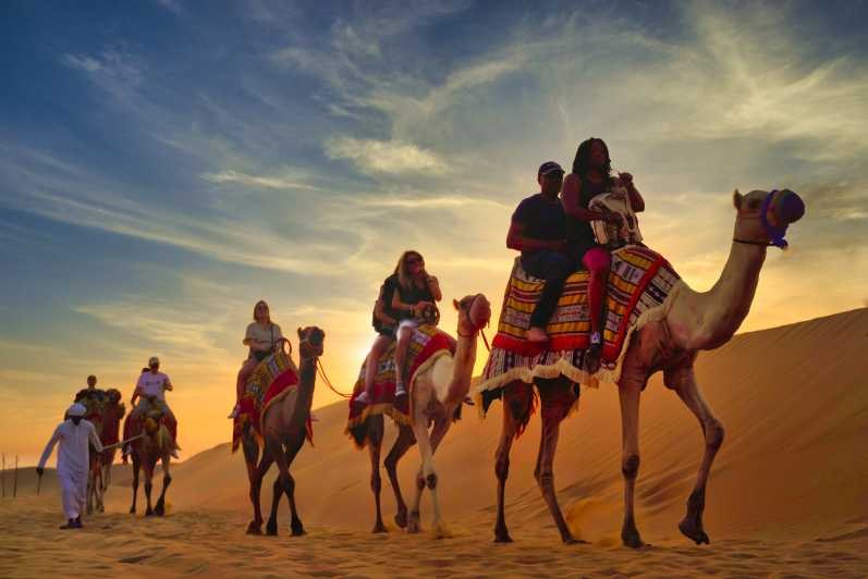 Overnight at a Camel Farm