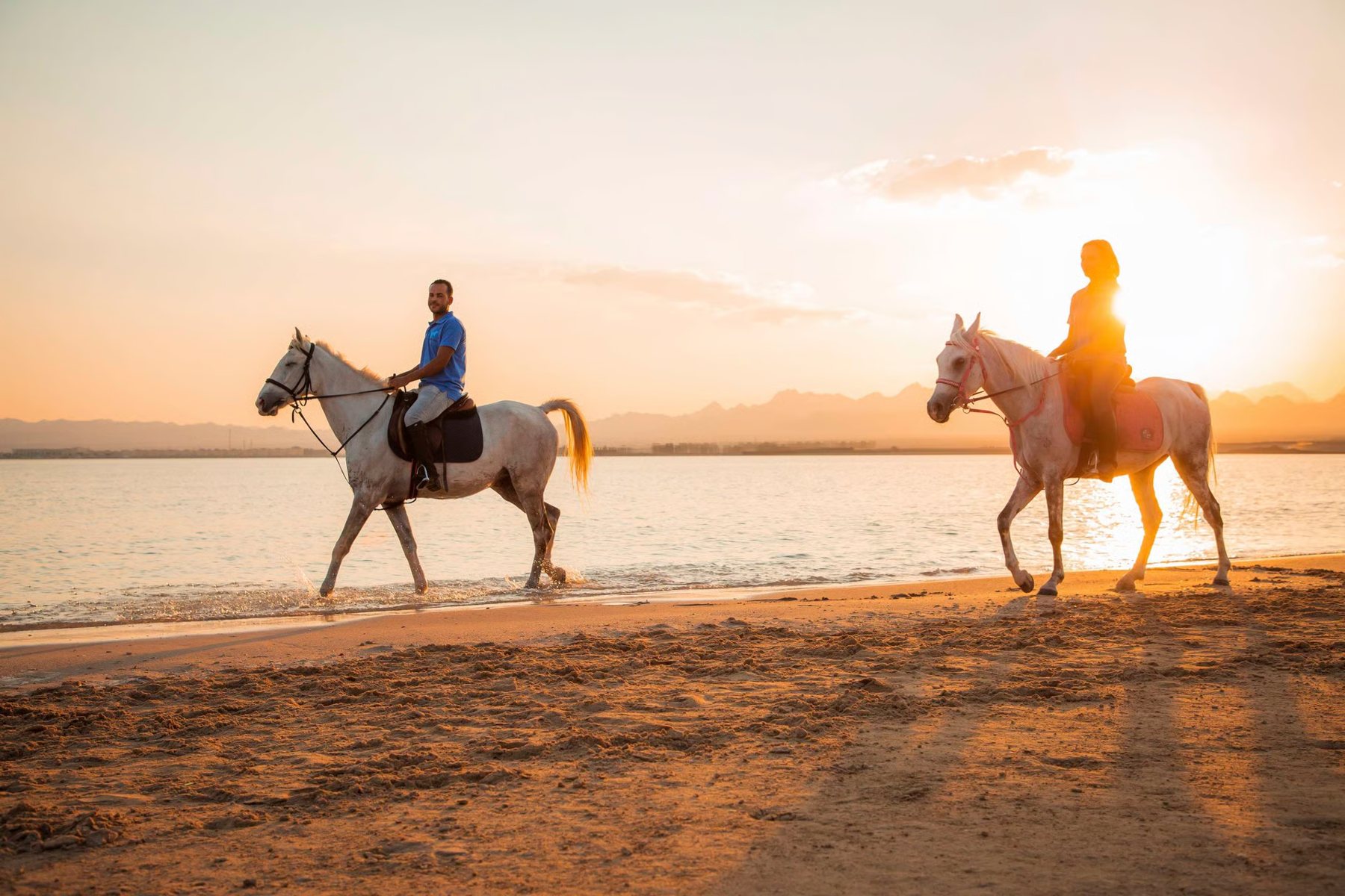 Horse Riding