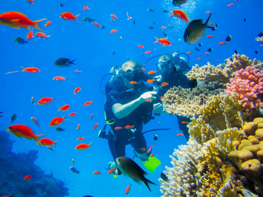 Scuba Diving