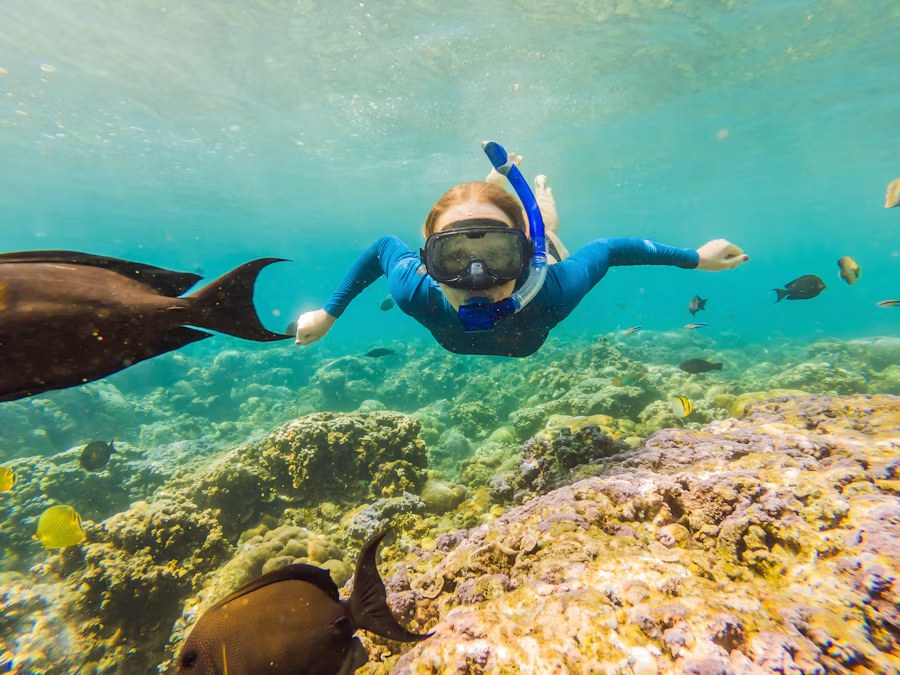 Snorkeling Experience