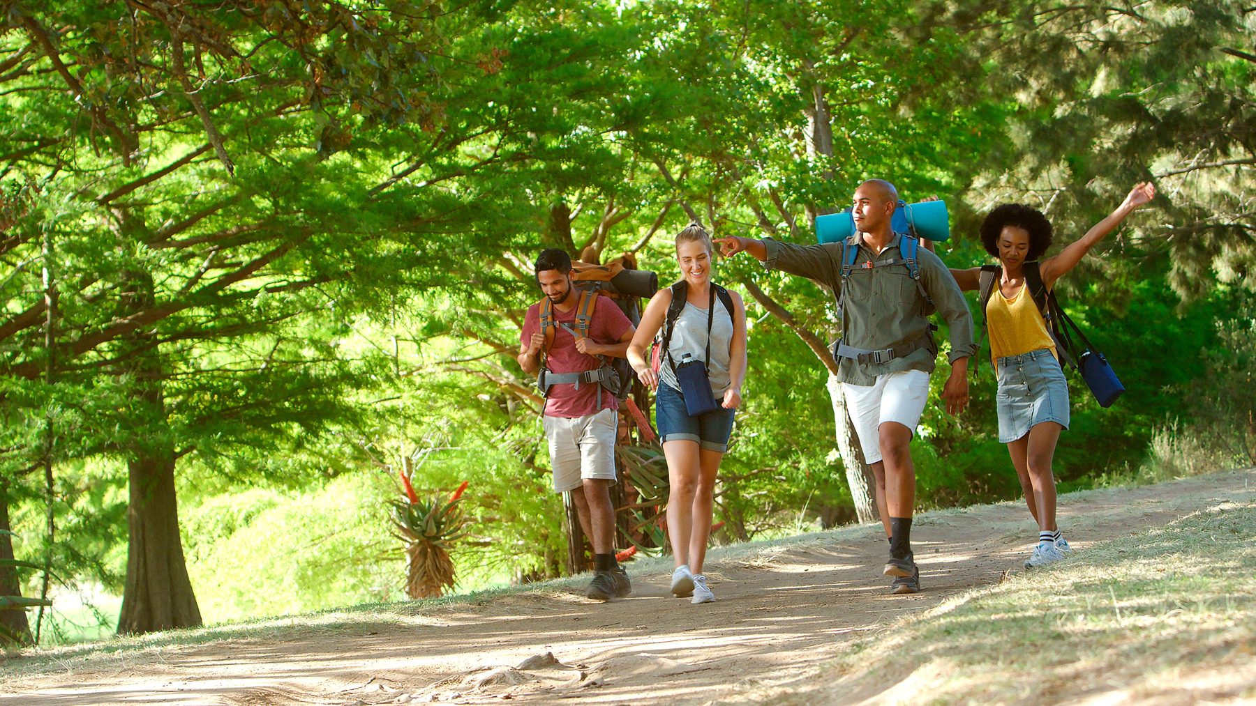 Group on a sunny trail