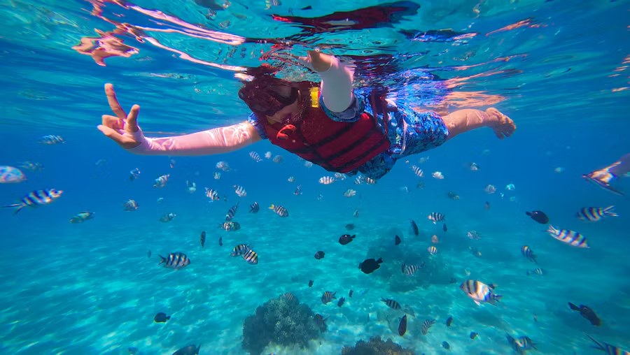 Snorkeling Experience