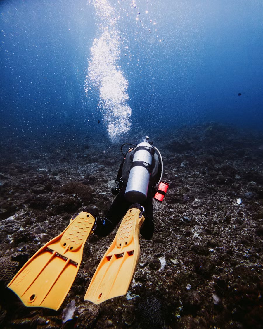 Scuba Diving