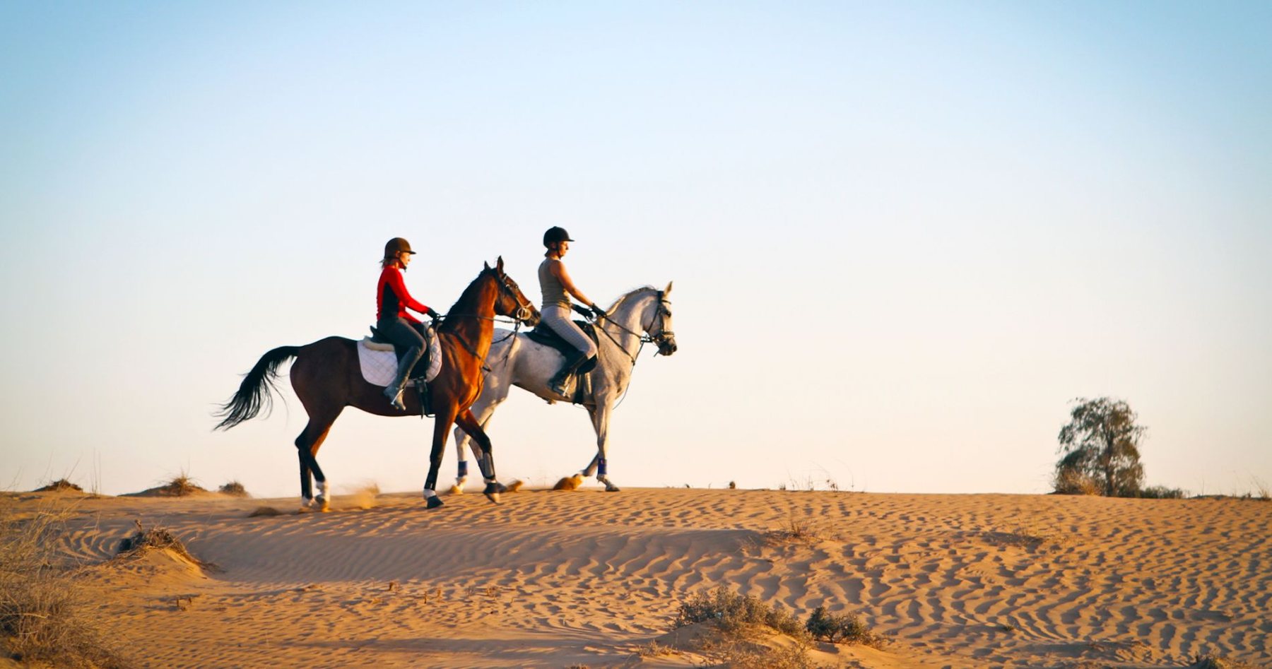 Horse Riding