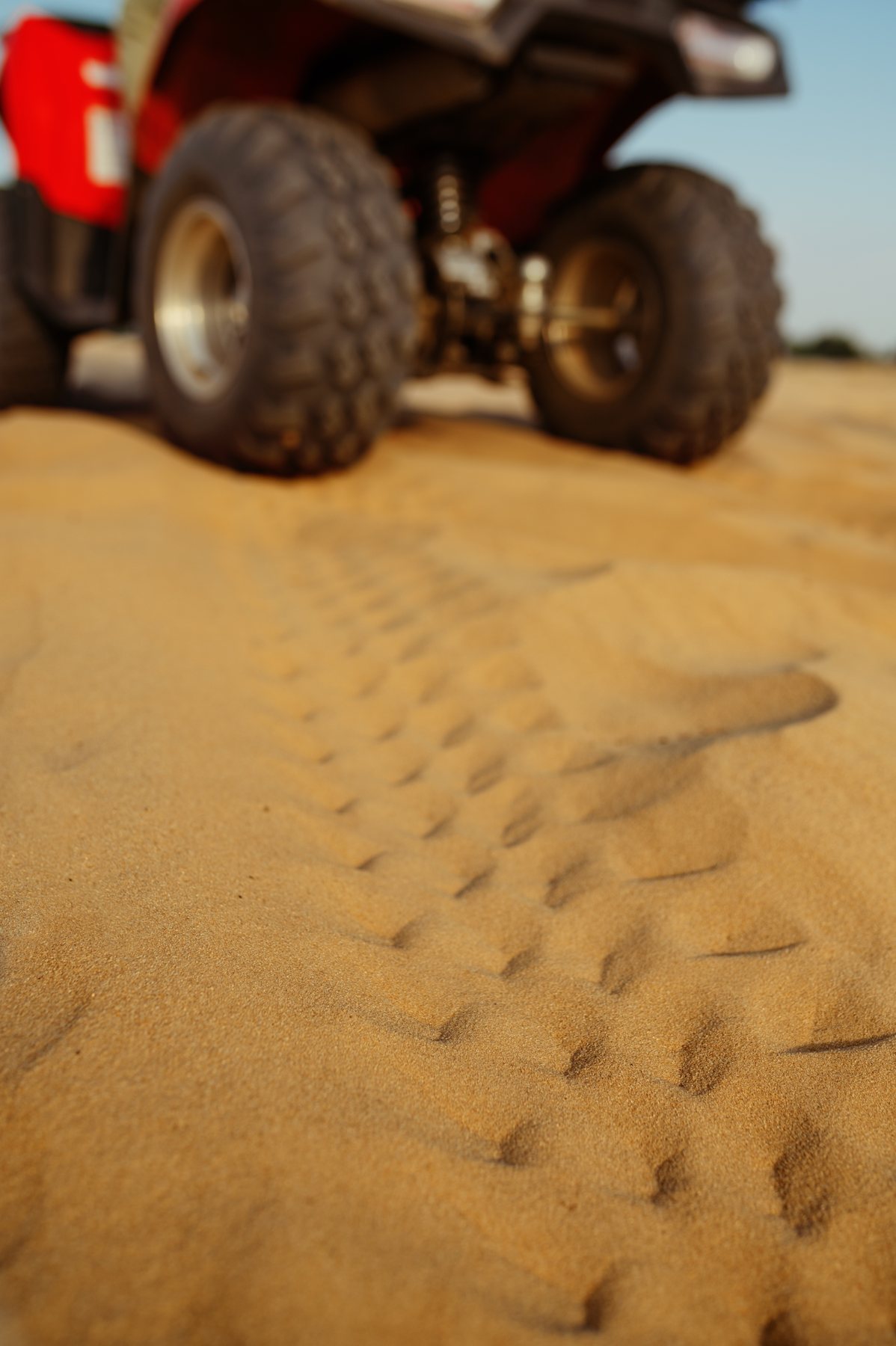 Dune Buggy Rides